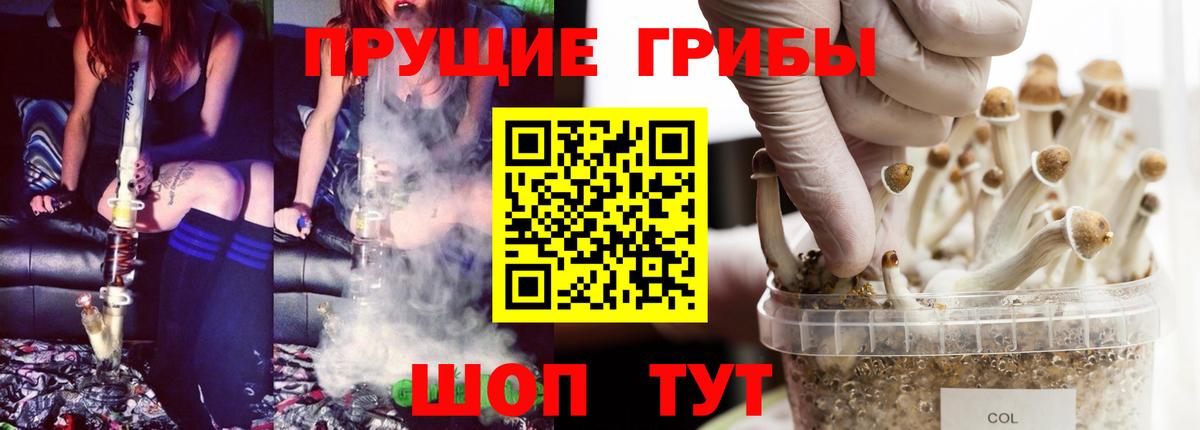 Ярославль  Псилоцибиновые грибы Magic Shrooms  Вход с VPN 