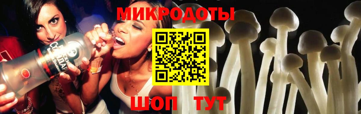 Галлюциногенные грибы Psilocybine cubensis Ярославль